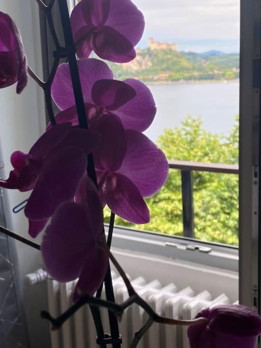Babalu Con Vista Lago アローナ エクステリア 写真